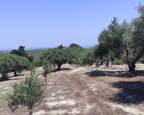 εικόνα ακινήτου