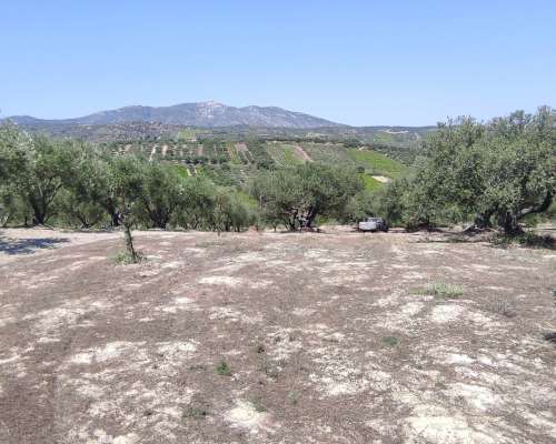 φωτογραφία ακινήτου