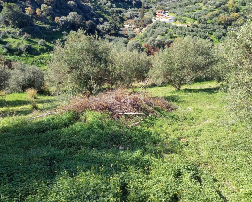 εικόνα ακινήτου