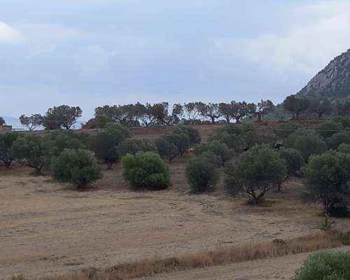 φωτογραφία ακινήτου