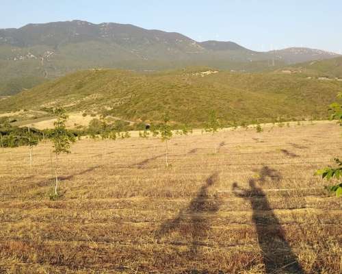 εικόνα ακινήτου